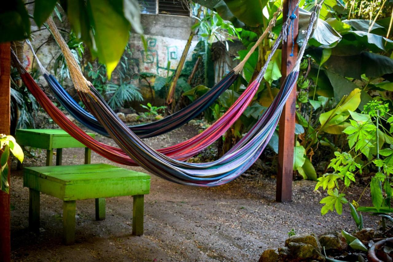 Ciao Cacao Hostel & Vegan Cafe Flores Bagian luar foto