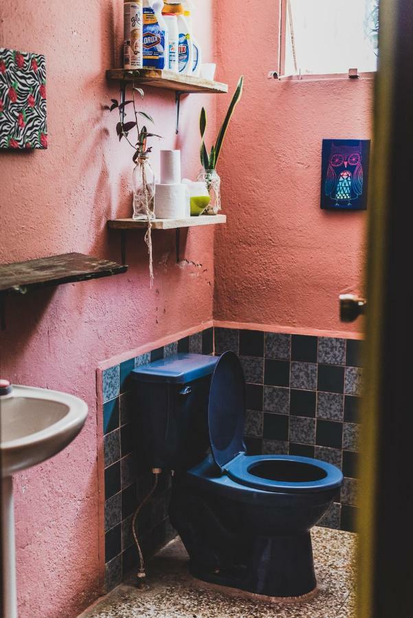 Ciao Cacao Hostel & Vegan Cafe Flores Bagian luar foto